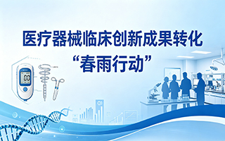 春雨行动